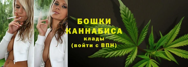 крисы Горнозаводск