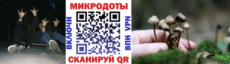 Псилоцибиновые грибы Psilocybe  купить наркоту  Дальнереченск 