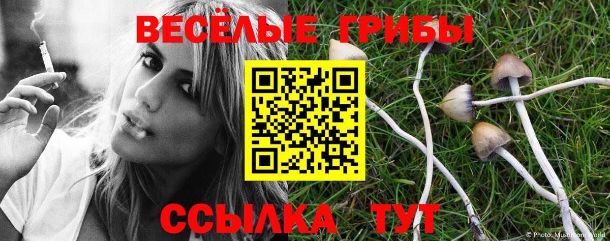 купить наркотики цена  Псилоцибиновые грибы Magic Shrooms  Вход с VPN  Дальнереченск 