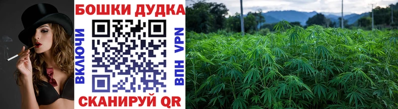 Каннабис OG Kush  закладки  Дальнереченск 